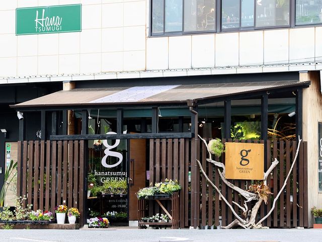 hanatsumugi GREEN