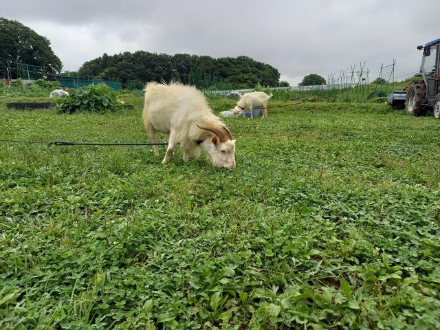柏たなか農園