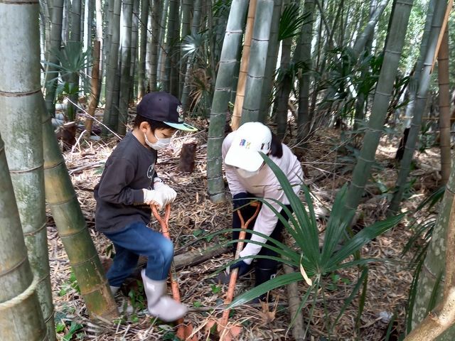 柏たなか農園