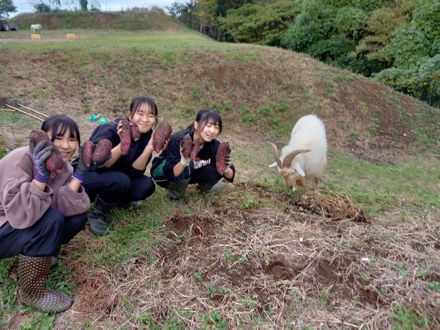 柏たなか農園