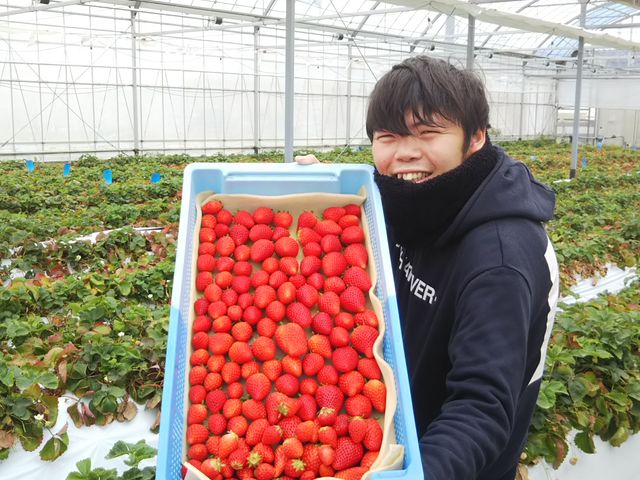 メークリヒカイト
