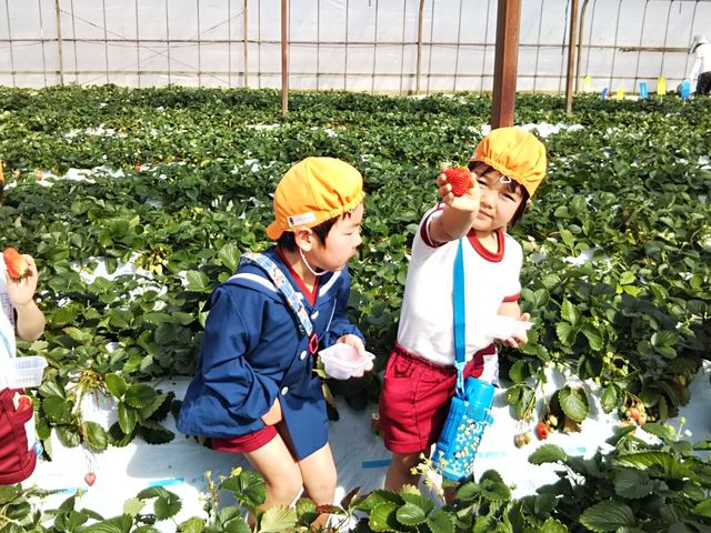 メークリヒカイト