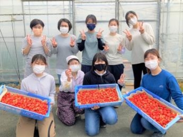 メークリヒカイト