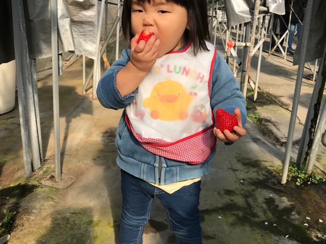 ほおばるお子様募集中
お子様のみのお申し込みはできません_澁谷農園