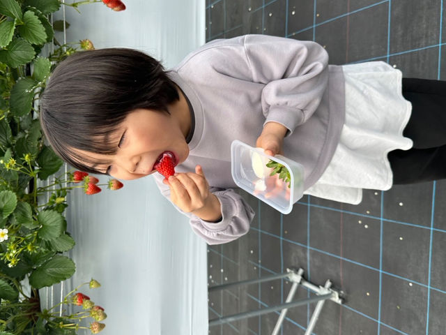 2025年頬張る娘!_澁谷農園
