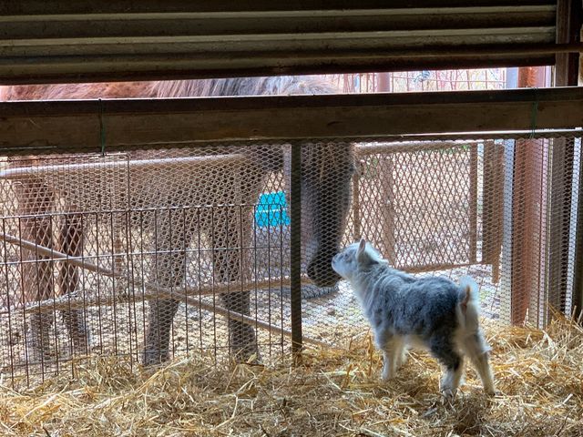 馬のいる寺子屋