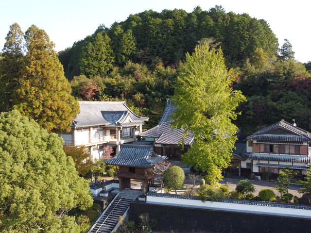 城持山 薬王寺