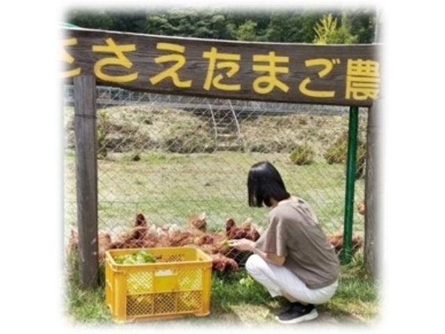 鶏ふれあい体験_ささえたまご農園 -ポニー・ヤギ・ニワトリとふれあえる山のたまご屋さんのスイーツ店-