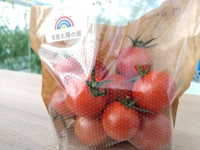 常陸太陽の庭フルーツトマト農園