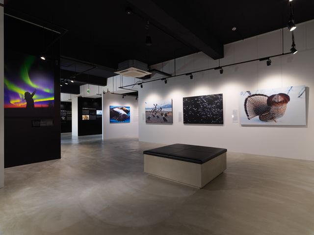 Akan Art Gallery & Art Gift Shop