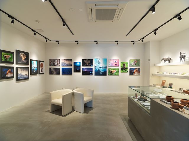 Akan Art Gallery & Art Gift Shop