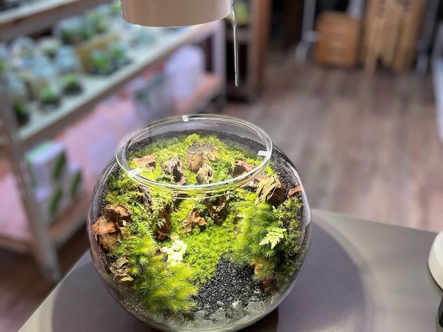 Terrariums メトロ・エム後楽園店