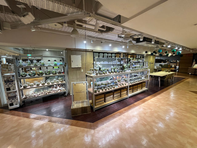 Terrariums メトロ・エム後楽園店