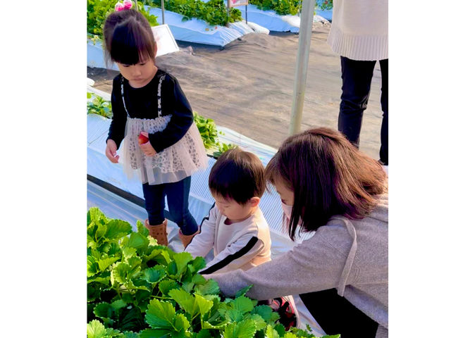TACOJIMA FARM