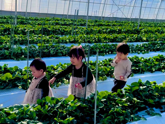 TACOJIMA FARM