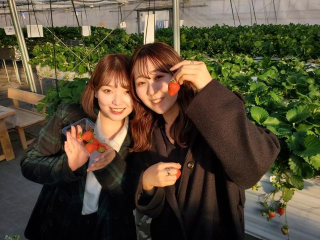苺のおうち