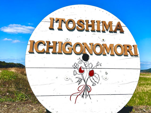 糸島いちごの森のかわいい看板と一緒に写真撮りませんか?_糸島いちごの森