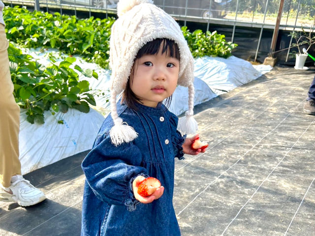 糸島いちごの森