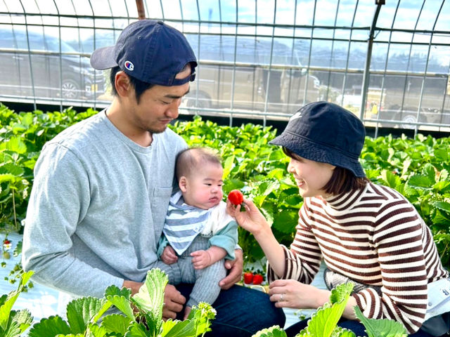 糸島いちごの森