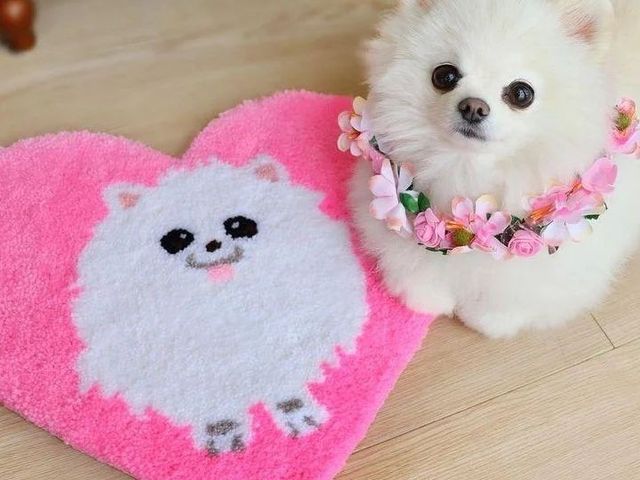 Pory tufting studio