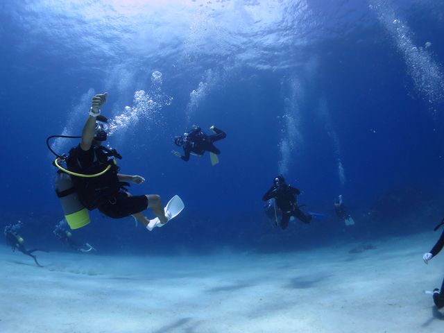 まるで水族館の中にいるような風景が目の前に!_ダイビングスクール マレア名駅店