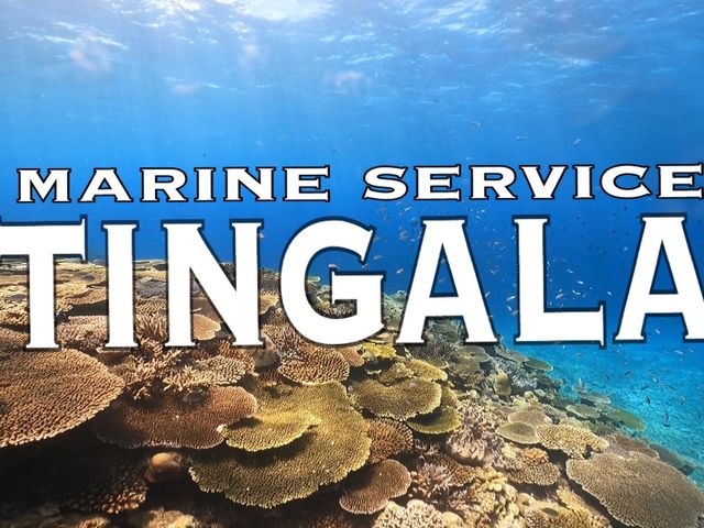marine service TINGALA