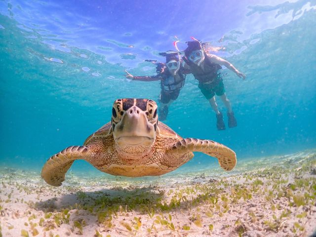 光が海の中に差し込むとこんなにも綺麗!!_宮古島マリンショップSmiley