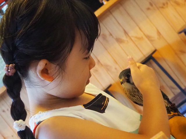 小さいお子様でも楽しめます!_ことひ