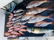 遊漁船R'Sの写真2