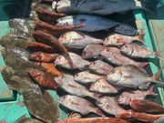 海賊遊漁船 はっしぃ丸の写真3