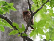八東ふる里の森の写真3