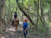 ハーモニーワールドの写真2