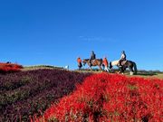 ハーモニーワールドの写真3