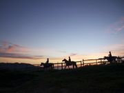 ハーモニーワールドの写真4