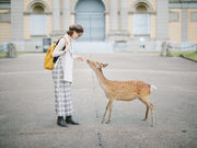 奈良 謎解き寺巡りの写真3