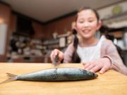 エネIKU2023in玄海唐津~マチまるごと大自然エネルギーパークの写真3