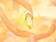ダイビングショップケイズマリンの写真2