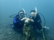 ダイビングショップケイズマリンの写真3