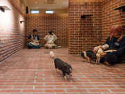 pignic cafe yokohamaの写真3