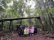 “青木ヶ原樹海”アドベンチャーの写真2