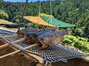 リバーベース塩瀬の写真3