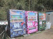 Buggy Mountain No.9の写真3