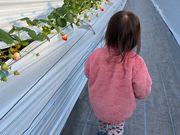 Twins Farm 真岡いちご園の写真3