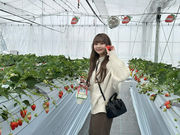 Twins Farm 真岡いちご園の写真2