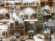 forest knot 江南店の写真3