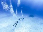 フィールダイブもとぶ店の写真2