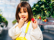 Sugar Berry 杉戸いちご農園の写真3