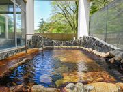 青井岳温泉の写真3