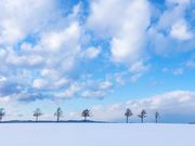 NPO法人オホーツク大空町観光協会の写真3