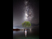 ブルーギャラリー石垣島の写真2